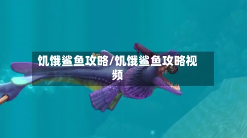 饥饿鲨鱼攻略/饥饿鲨鱼攻略视频