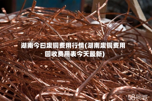 湖南今曰废铜费用行情(湖南废铜费用回收费用表今天最新)-第1张图片
