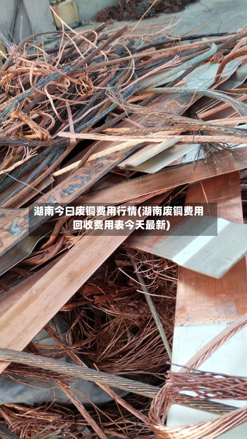 湖南今曰废铜费用行情(湖南废铜费用回收费用表今天最新)-第3张图片