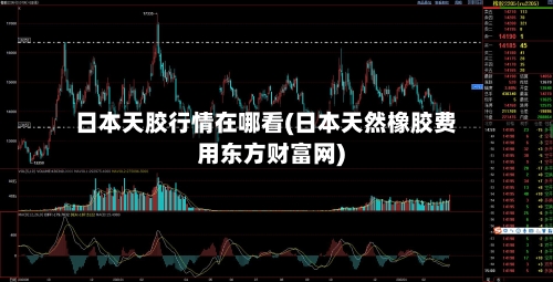 日本天胶行情在哪看(日本天然橡胶费用东方财富网)-第1张图片