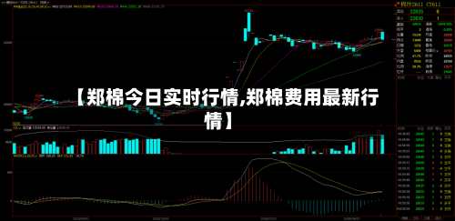 【郑棉今日实时行情,郑棉费用最新行情】-第1张图片