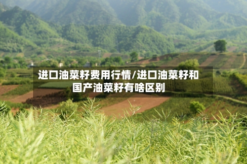 进口油菜籽费用行情/进口油菜籽和国产油菜籽有啥区别