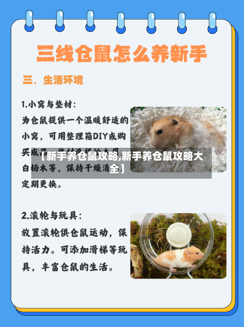 【新手养仓鼠攻略,新手养仓鼠攻略大全】-第2张图片