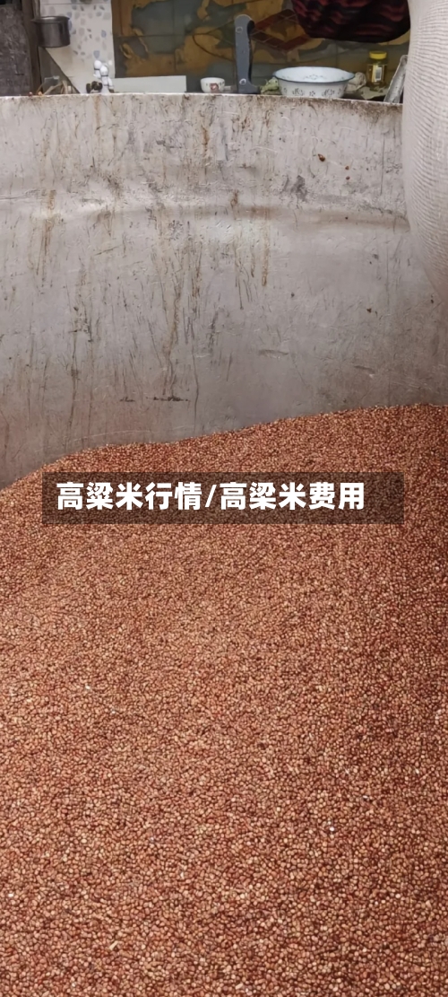高粱米行情/高梁米费用