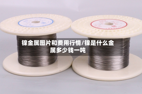 镍金属图片和费用行情/镍是什么金属多少钱一吨
