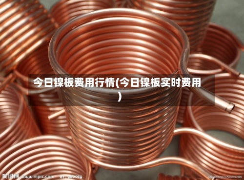 今日镍板费用行情(今日镍板实时费用)-第2张图片