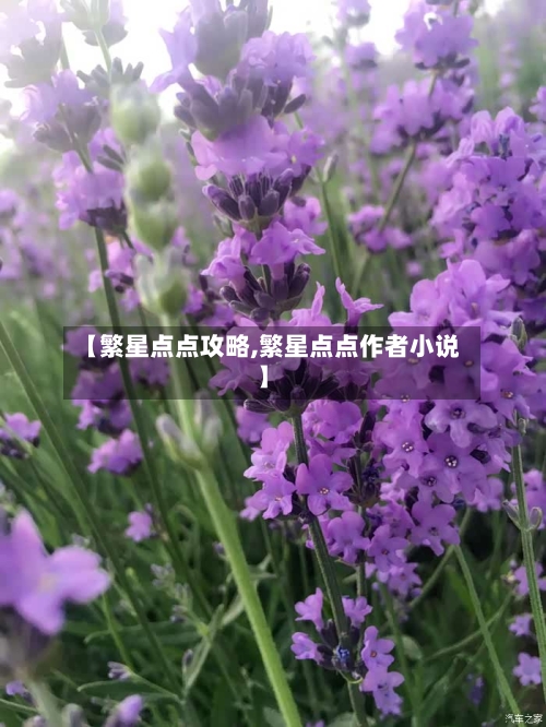 【繁星点点攻略,繁星点点作者小说】