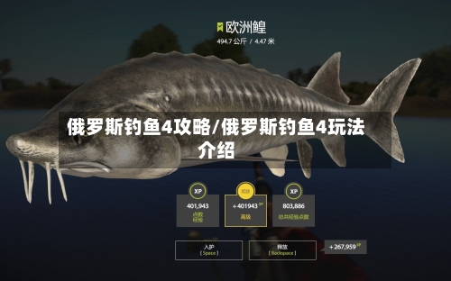 俄罗斯钓鱼4攻略/俄罗斯钓鱼4玩法介绍