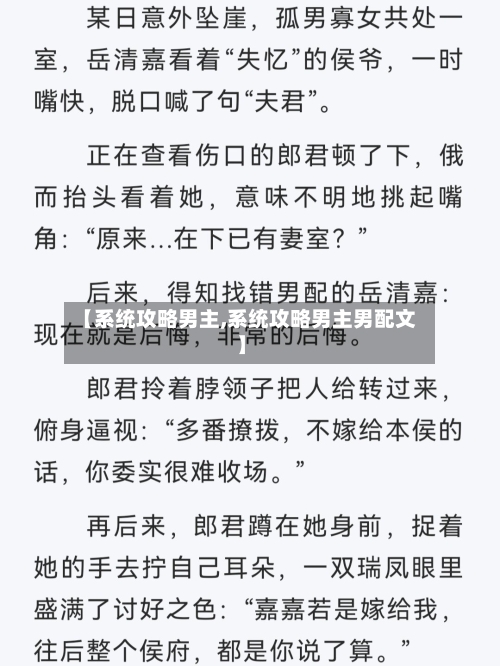 【系统攻略男主,系统攻略男主男配文】-第3张图片