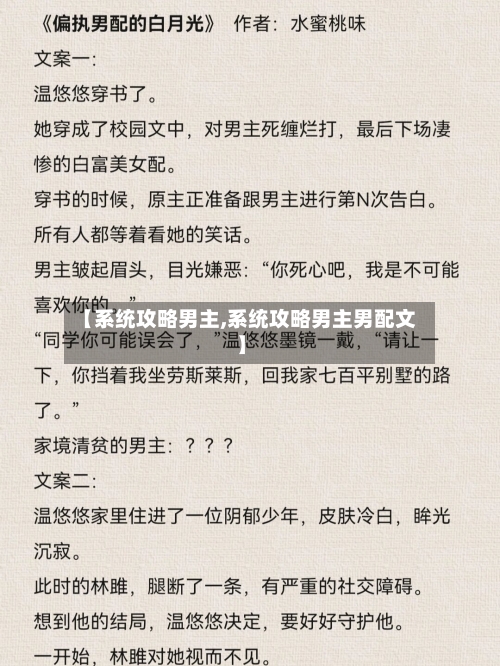 【系统攻略男主,系统攻略男主男配文】