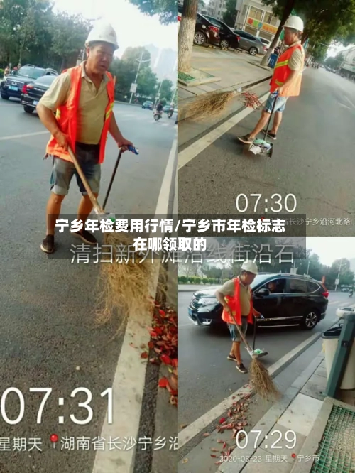 宁乡年检费用行情/宁乡市年检标志在哪领取的-第2张图片