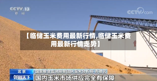 【临储玉米费用最新行情,临储玉米费用最新行情走势】