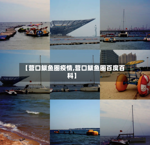 【营口鲅鱼圈疫情,营口鲅鱼圈百度百科】-第3张图片