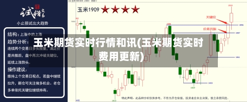 玉米期货实时行情和讯(玉米期货实时费用更新)-第2张图片