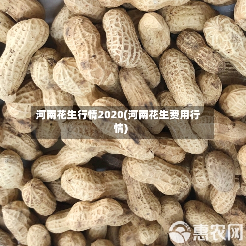 河南花生行情2020(河南花生费用行情)-第2张图片
