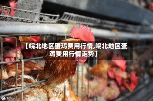 【皖北地区蛋鸡费用行情,皖北地区蛋鸡费用行情走势】