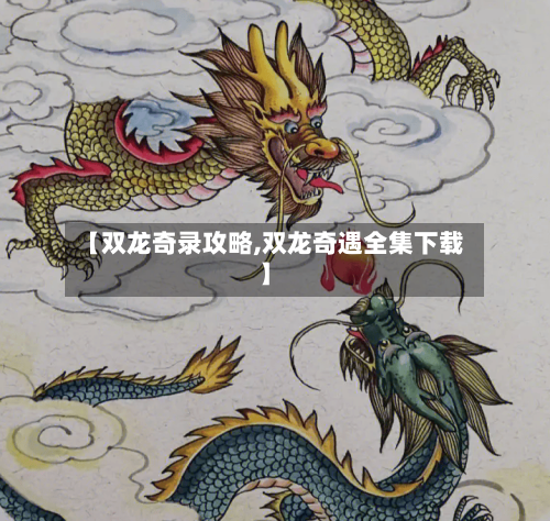 【双龙奇录攻略,双龙奇遇全集下载】