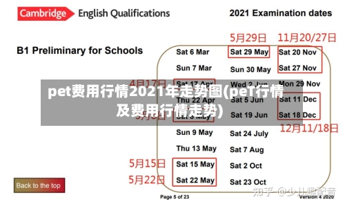 pet费用行情2021年走势图(peT行情及费用行情走势)-第2张图片