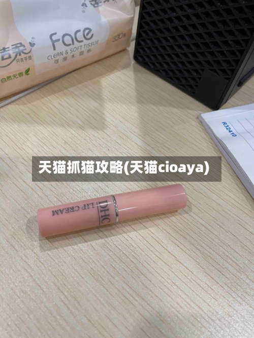 天猫抓猫攻略(天猫cioaya)-第3张图片