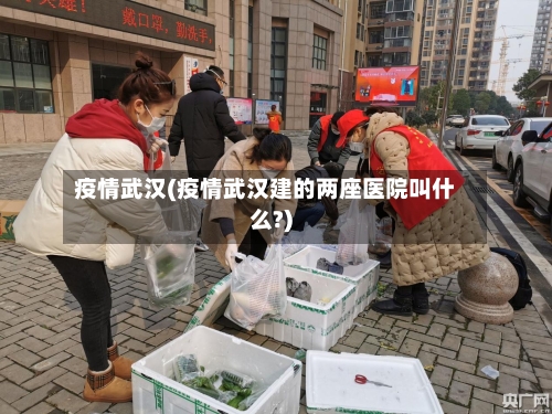 疫情武汉(疫情武汉建的两座医院叫什么?)-第3张图片