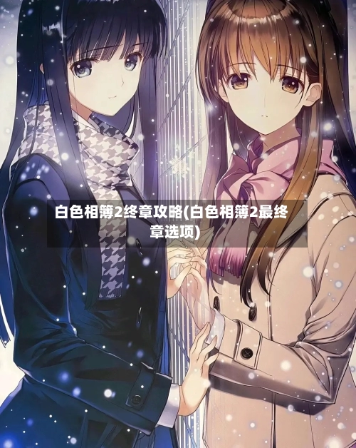 白色相簿2终章攻略(白色相簿2最终章选项)-第3张图片