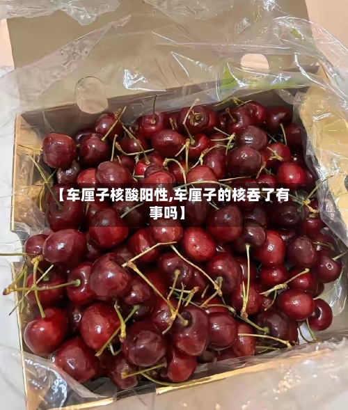 【车厘子核酸阳性,车厘子的核吞了有事吗】-第3张图片