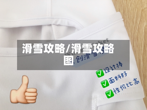 滑雪攻略/滑雪攻略图-第2张图片