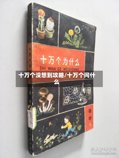十万个没想到攻略/十万个问什么-第2张图片