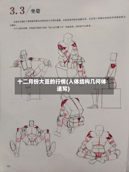 十二月份大豆的行情(人体结构几何体速写)