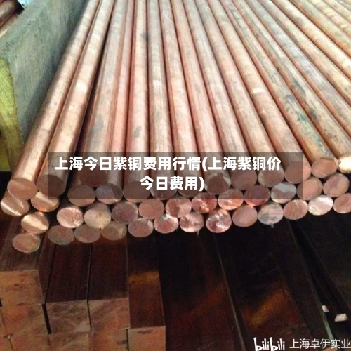 上海今日紫铜费用行情(上海紫铜价今日费用)-第2张图片