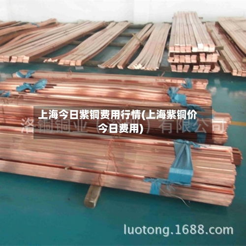 上海今日紫铜费用行情(上海紫铜价今日费用)-第3张图片