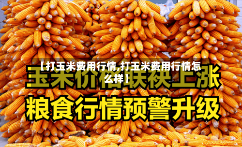 【打玉米费用行情,打玉米费用行情怎么样】-第1张图片
