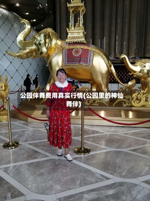 公园伴舞费用真实行情(公园里的神仙舞伴)-第1张图片