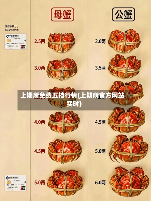 上期所免费五档行情(上期所官方网站实时)-第1张图片