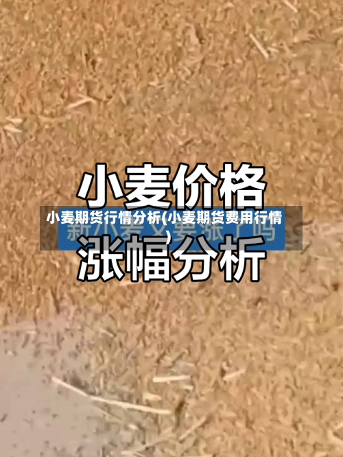 小麦期货行情分析(小麦期货费用行情)-第1张图片