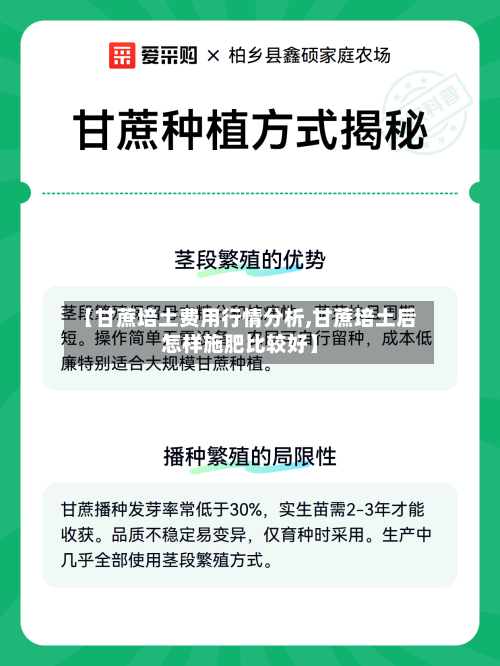 【甘蔗培土费用行情分析,甘蔗培土后怎样施肥比较好】