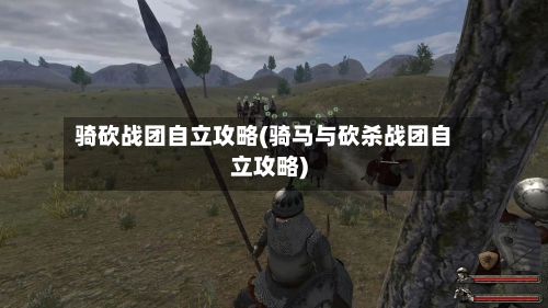 骑砍战团自立攻略(骑马与砍杀战团自立攻略)-第2张图片