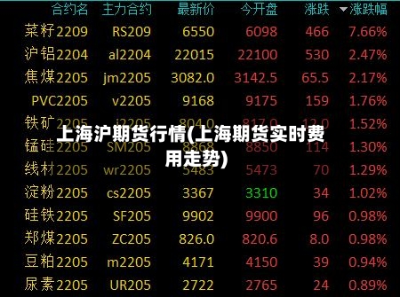 上海沪期货行情(上海期货实时费用走势)