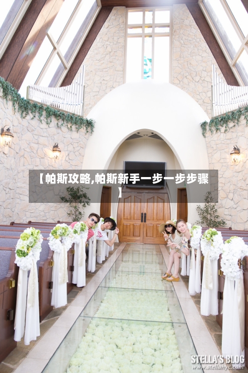 【帕斯攻略,帕斯新手一步一步步骤】-第2张图片