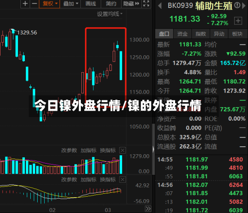 今日镍外盘行情/镍的外盘行情-第3张图片