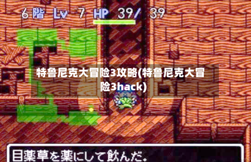 特鲁尼克大冒险3攻略(特鲁尼克大冒险3hack)-第2张图片