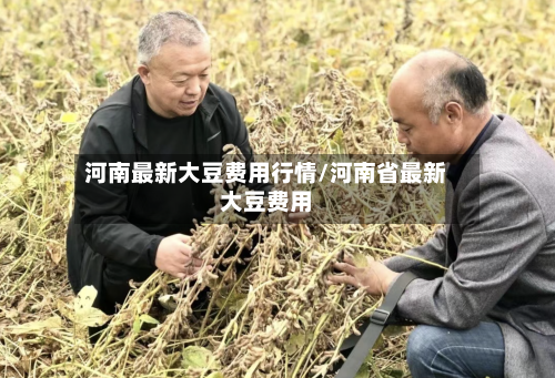 河南最新大豆费用行情/河南省最新大豆费用-第2张图片