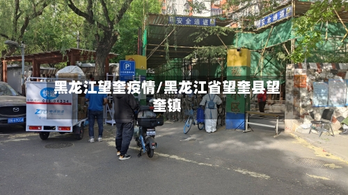黑龙江望奎疫情/黑龙江省望奎县望奎镇
