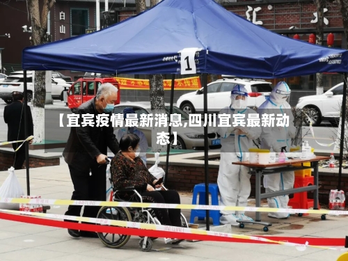 【宜宾疫情最新消息,四川宜宾最新动态】-第3张图片