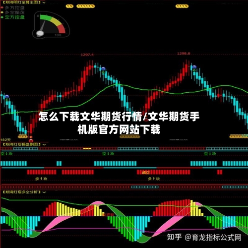 怎么下载文华期货行情/文华期货手机版官方网站下载
