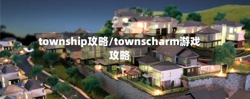 township攻略/townscharm游戏攻略-第2张图片