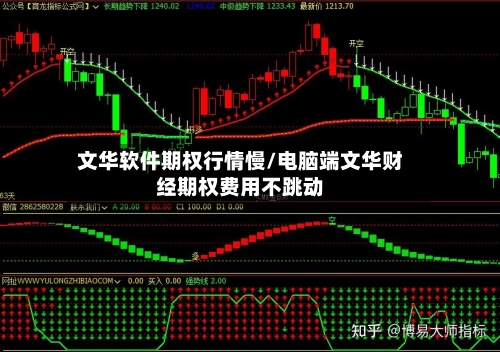 文华软件期权行情慢/电脑端文华财经期权费用不跳动-第2张图片