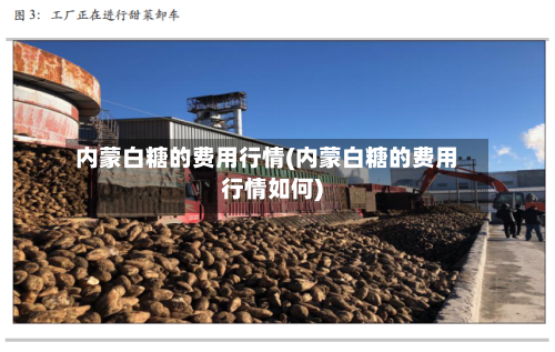 内蒙白糖的费用行情(内蒙白糖的费用行情如何)