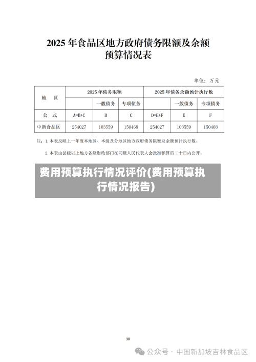 费用预算执行情况评价(费用预算执行情况报告)