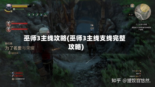 巫师3主线攻略(巫师3主线支线完整攻略)-第2张图片